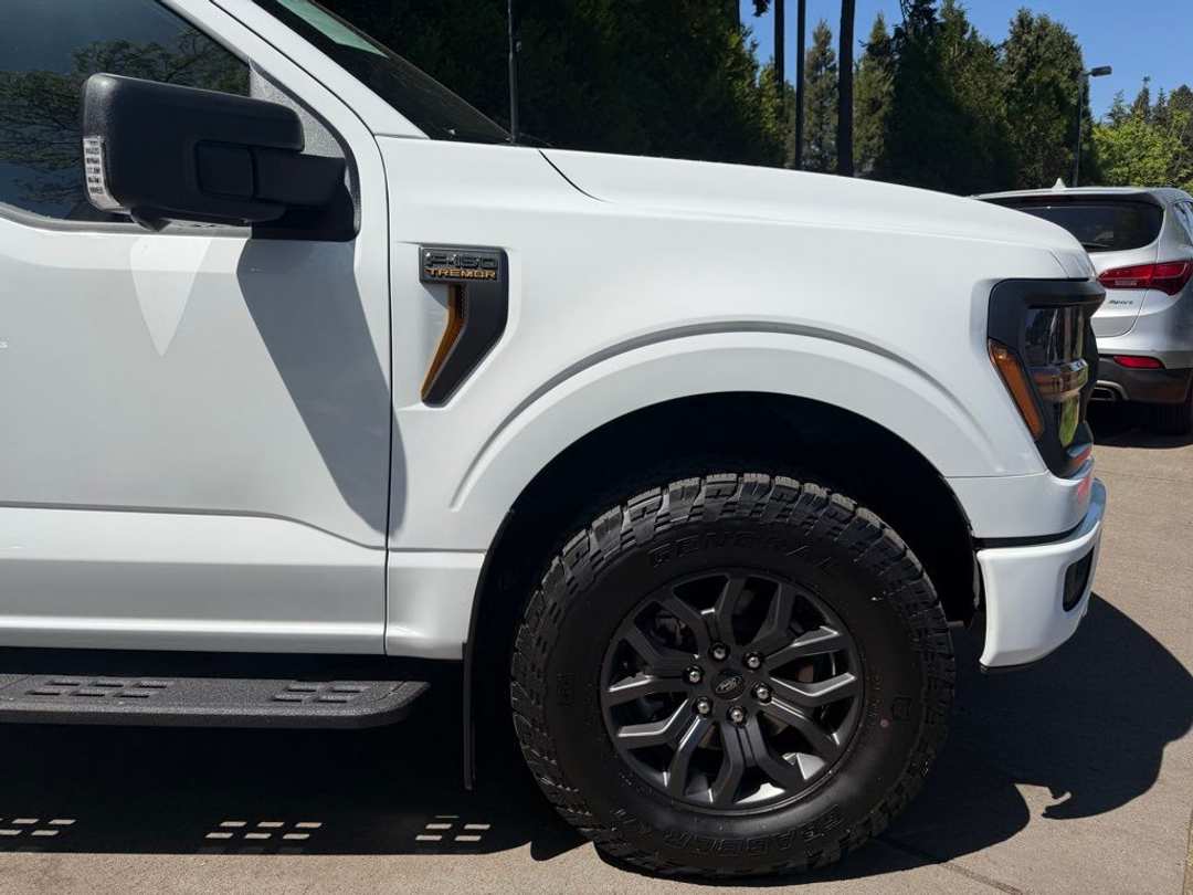 2025 Ford F-150 Tremor - Image 3